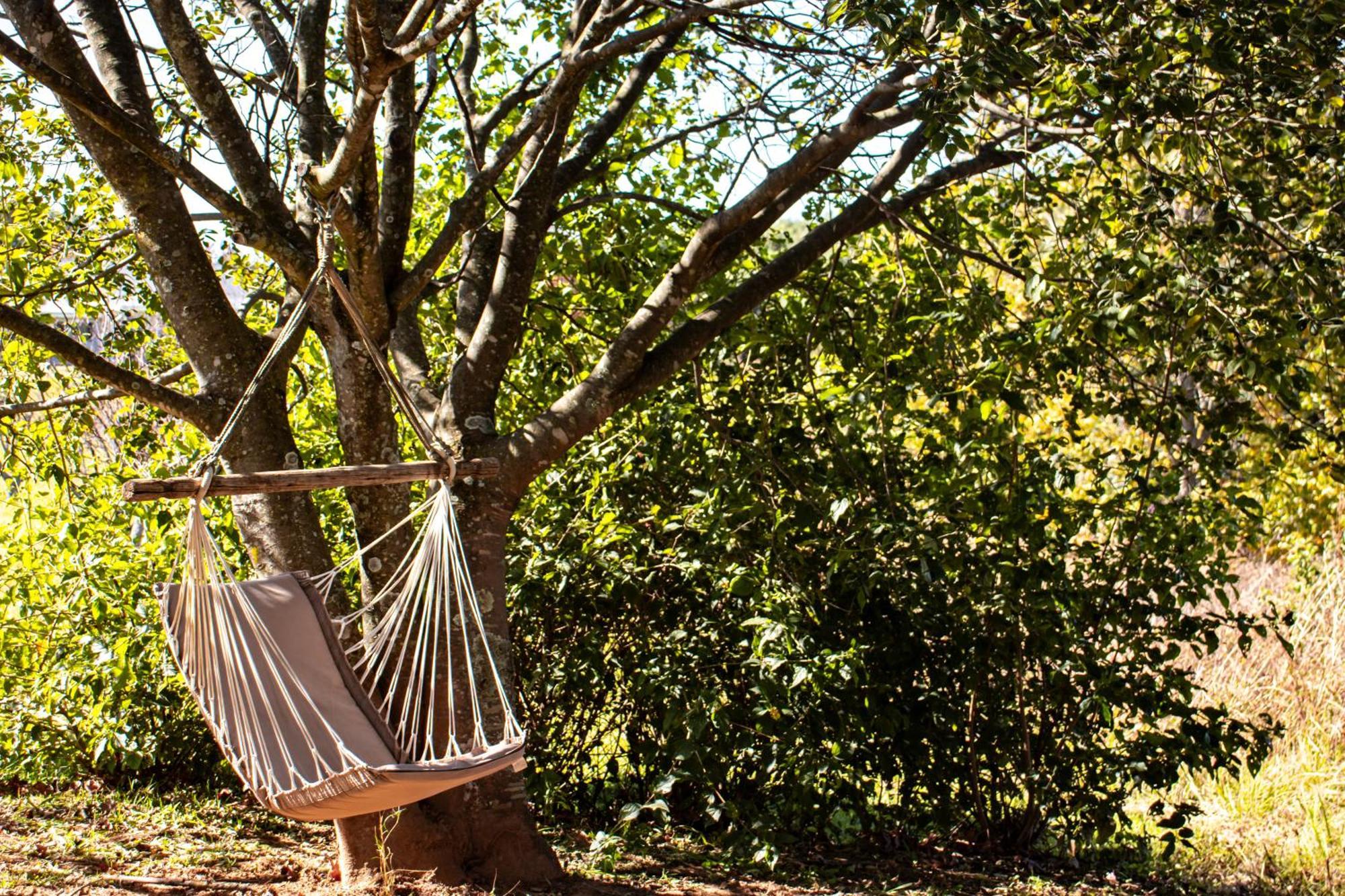 Tranquility Farmstays Уинтертон Экстерьер фото